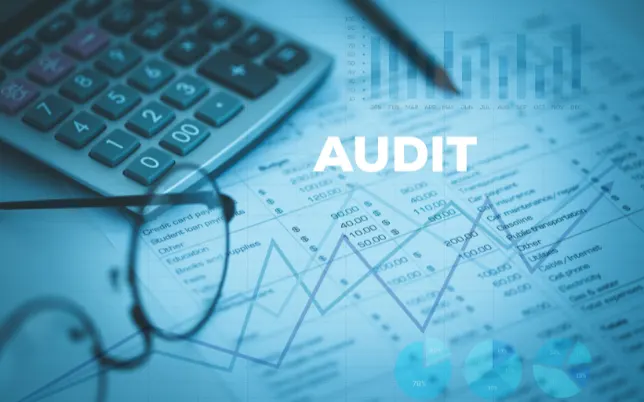 statutory audit